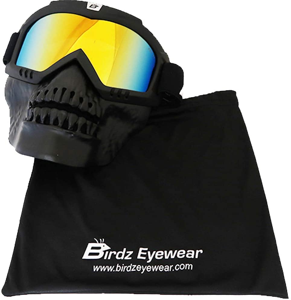 skullbird goggles red reflectech