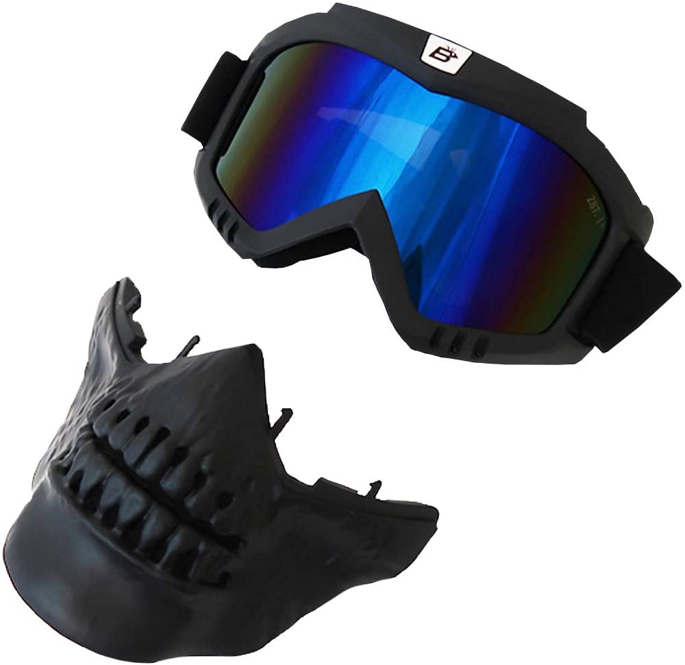 skullbird goggles blue reflectech lenses