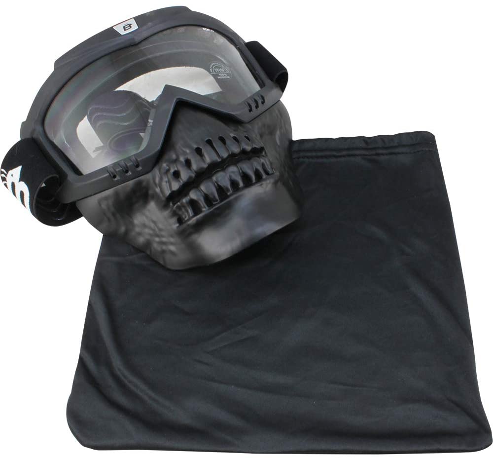 skullbird goggles clear lenses