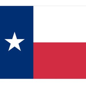 Texas Motorcycle Flag