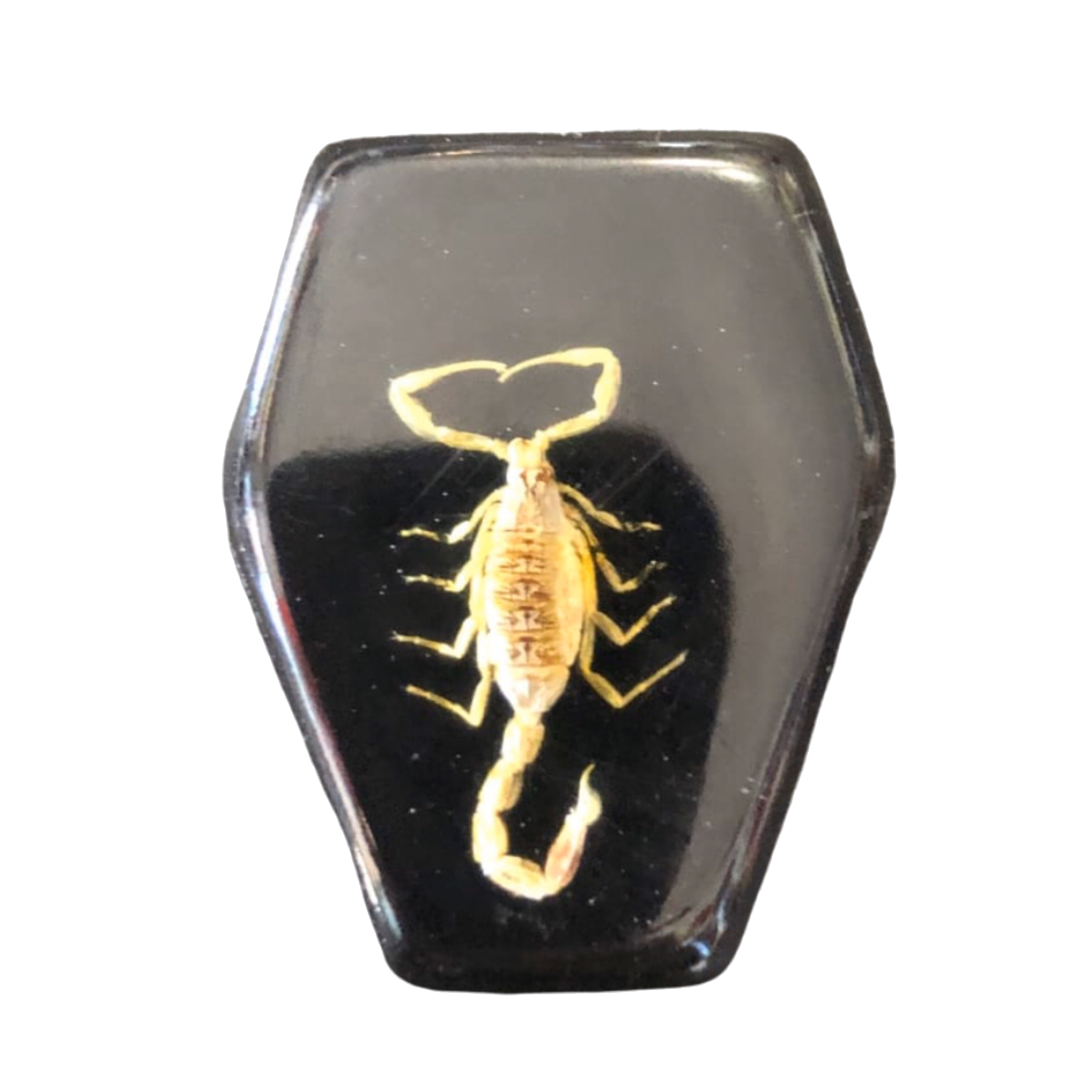 Scorpion Magnet