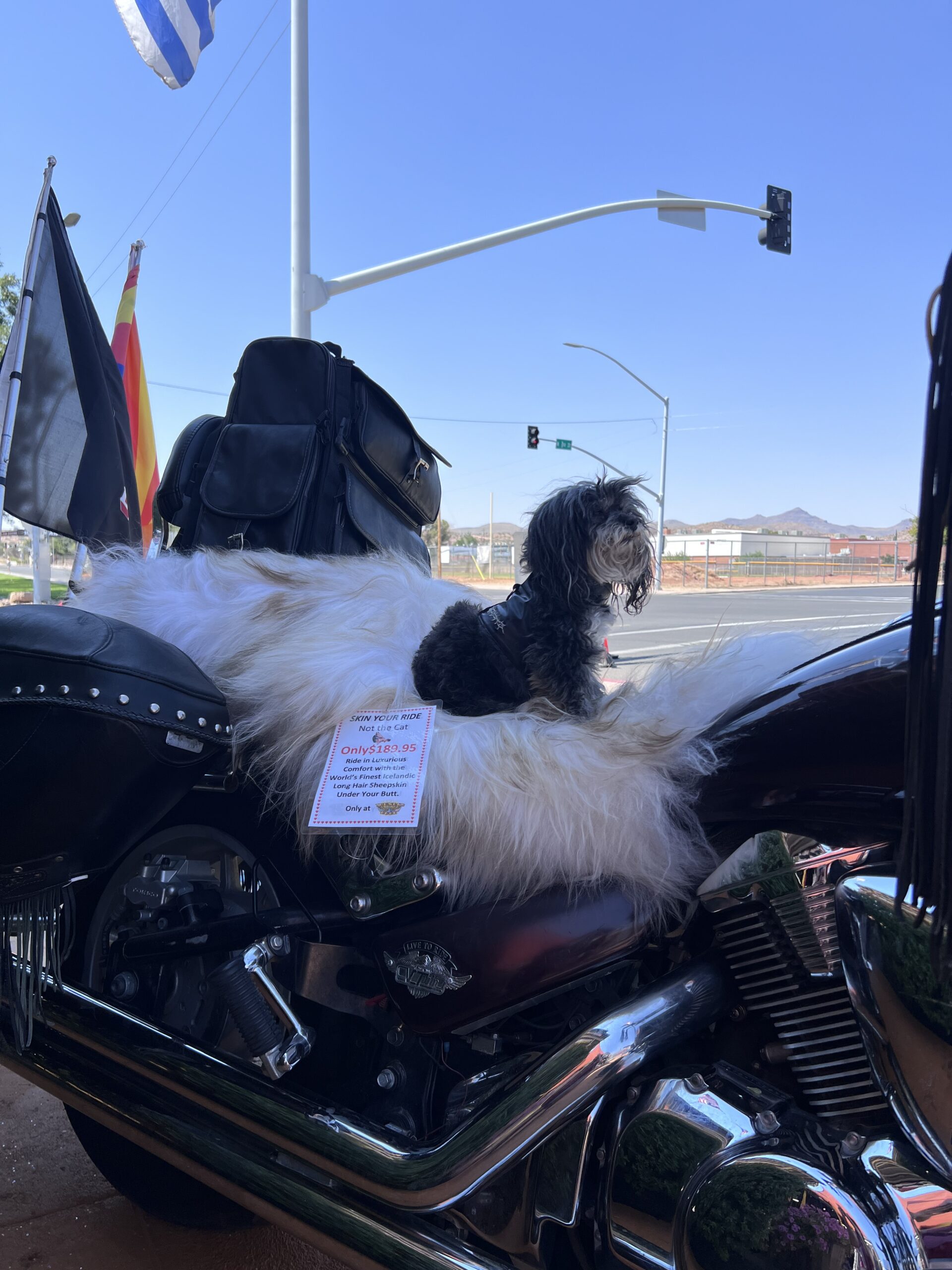 100% Genuine Icelandic Sheepskin - Motorcycle Seat Cover